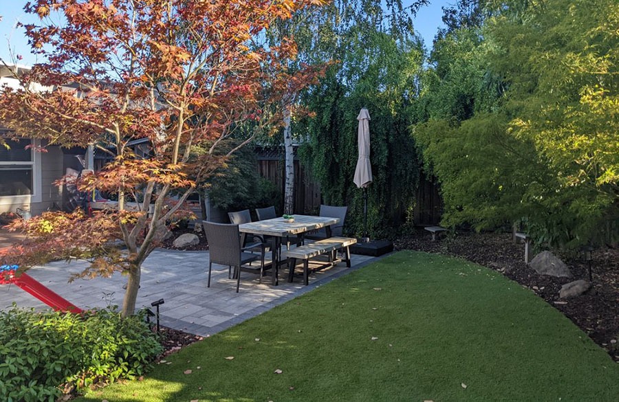 San Jose backyard landscaping remodel showing lawn and shade tree