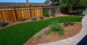 Natural lawn and artifical sod