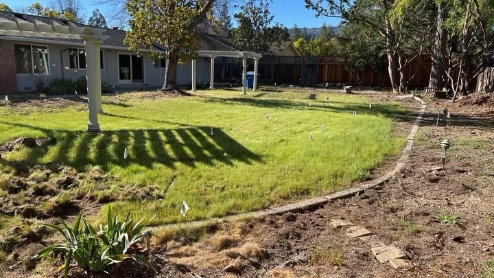 backyard renovation before