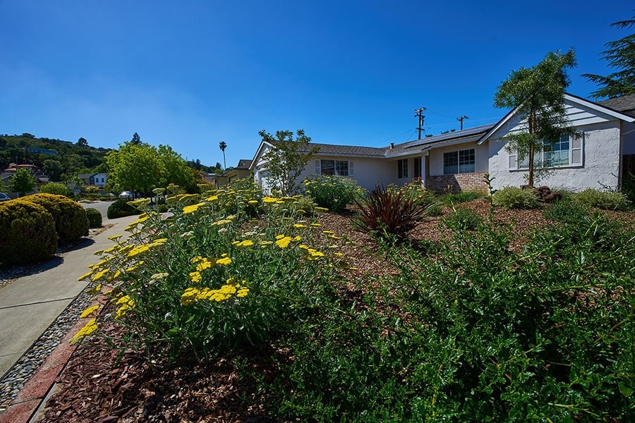 drought resistant front yard | Opulands Landscape Design & Construction