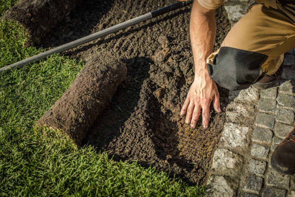 Landscaping contractor laying down sod for a landscape design and installation job.