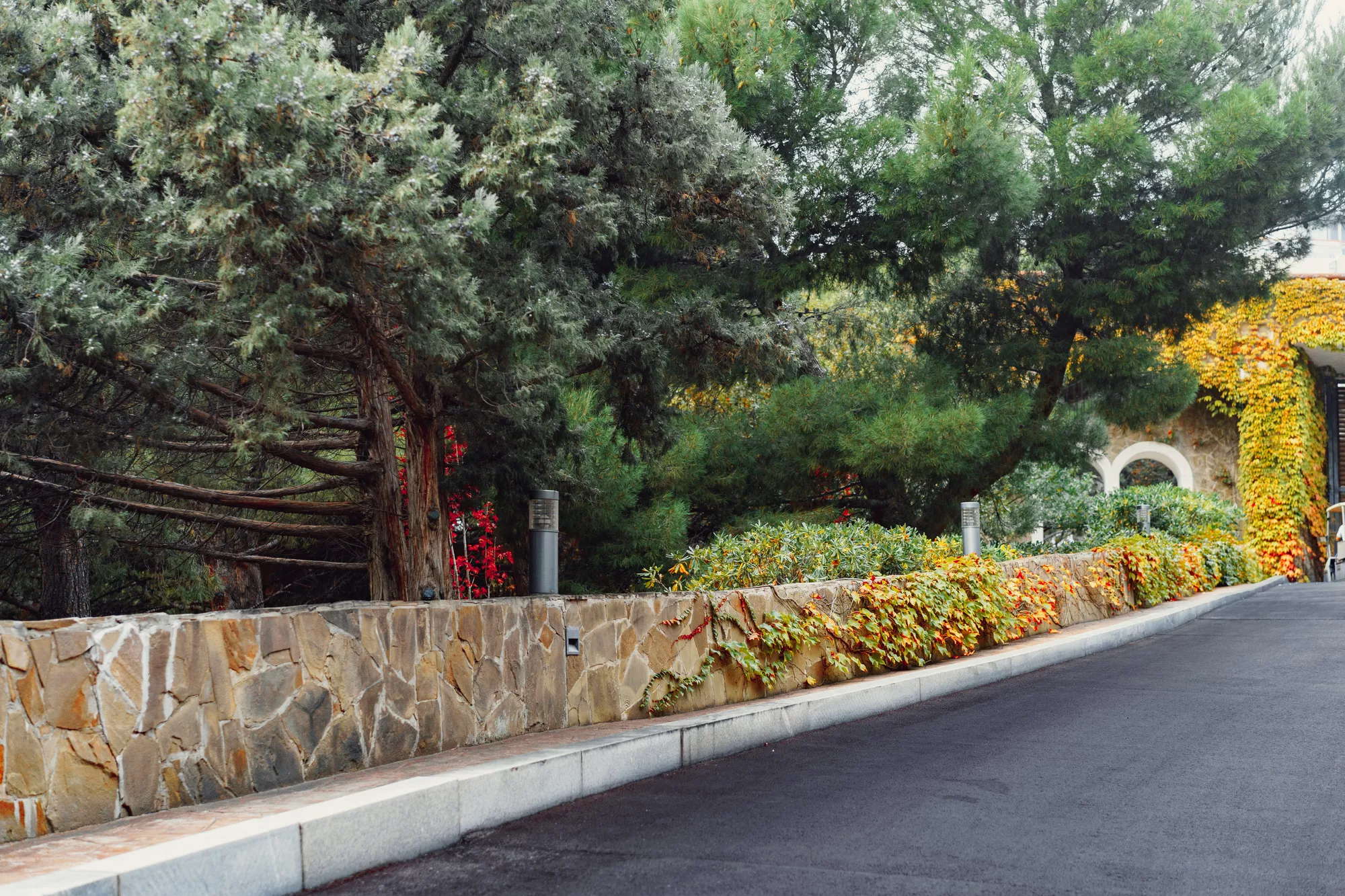 Hardscaping Solutions