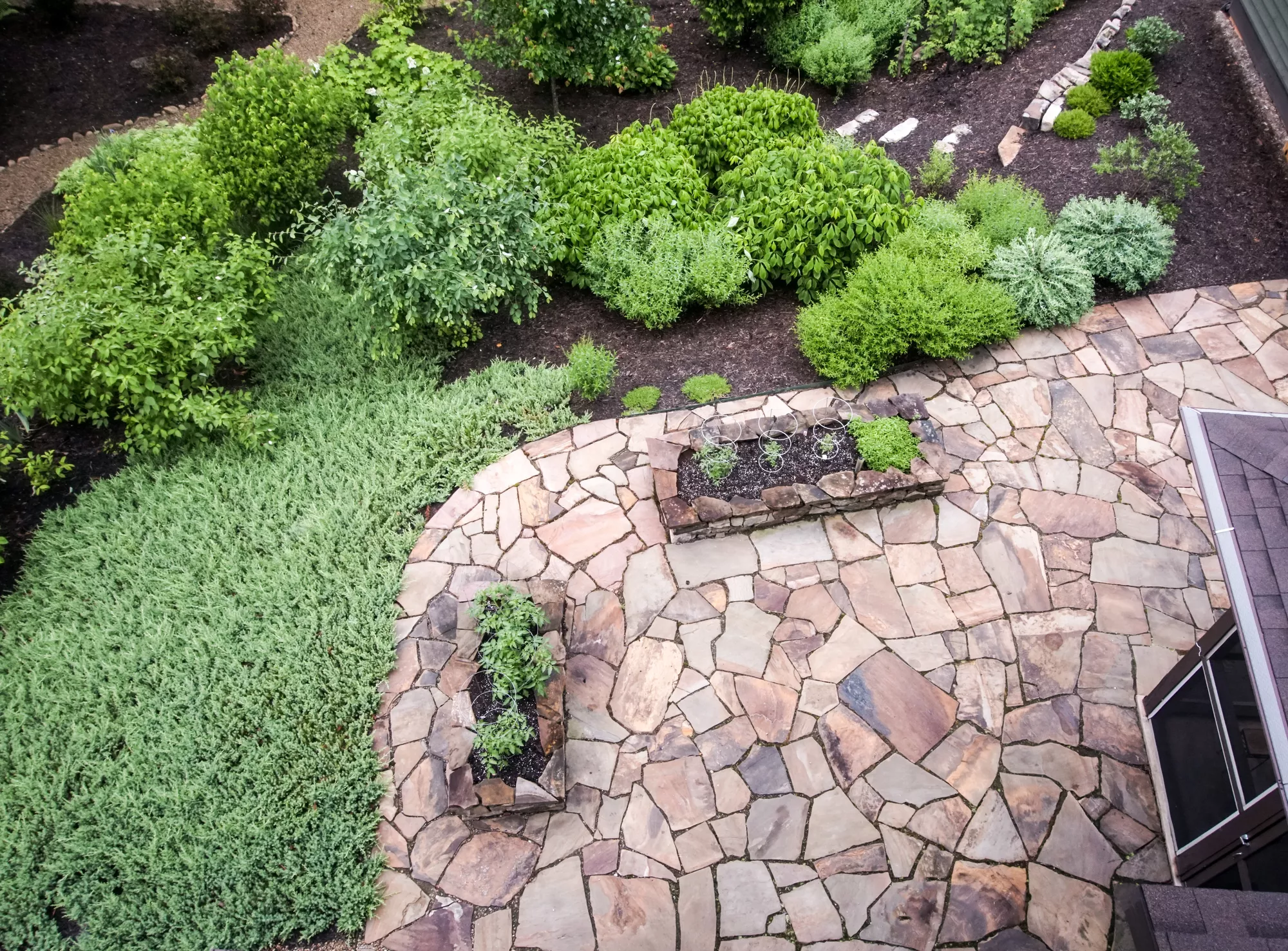 Backyard Landscape Design in Redwood City
