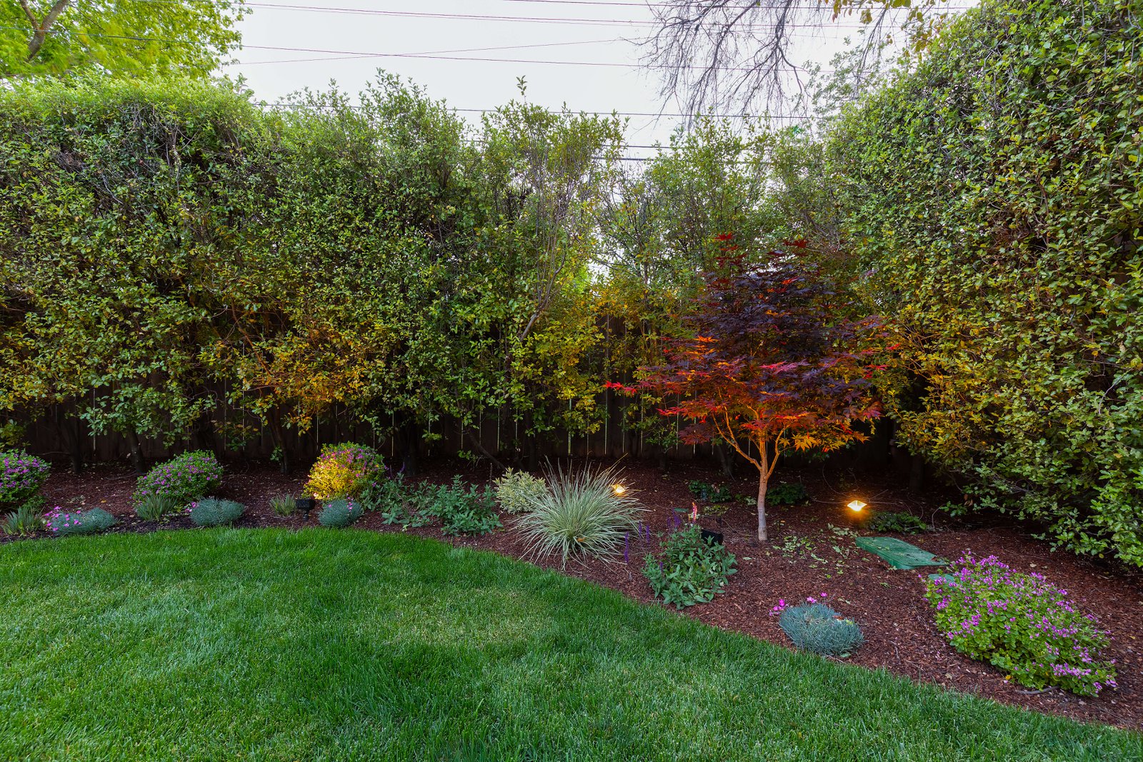 softscaping landscape design saratoga | Opulands Landscape Design & Construction Softscaping services in Saratoga