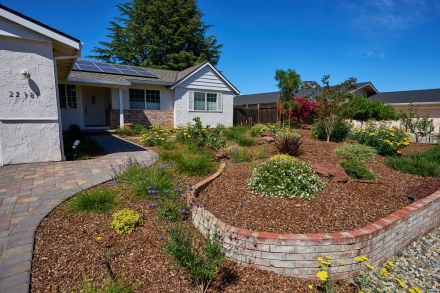 Opulands softscape landscaping