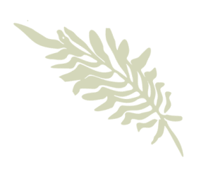 fern art