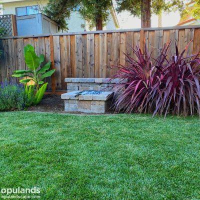 New backyard landscaping with fountain and lawn front view